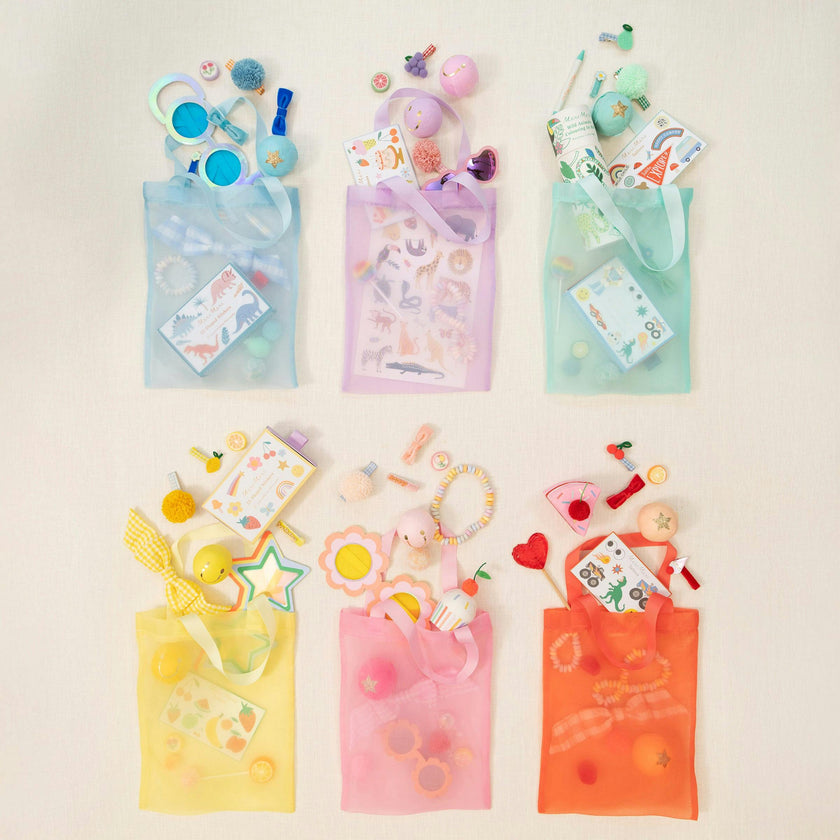 Rainbow Organza Party Bags