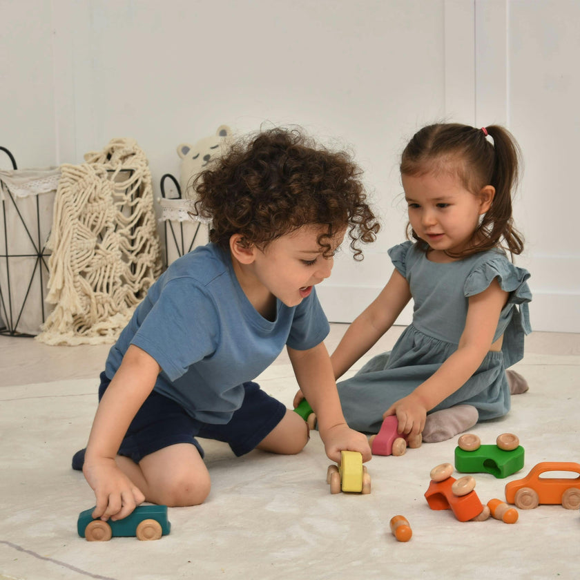 Wooden Car Toy set - 10 Piece Set