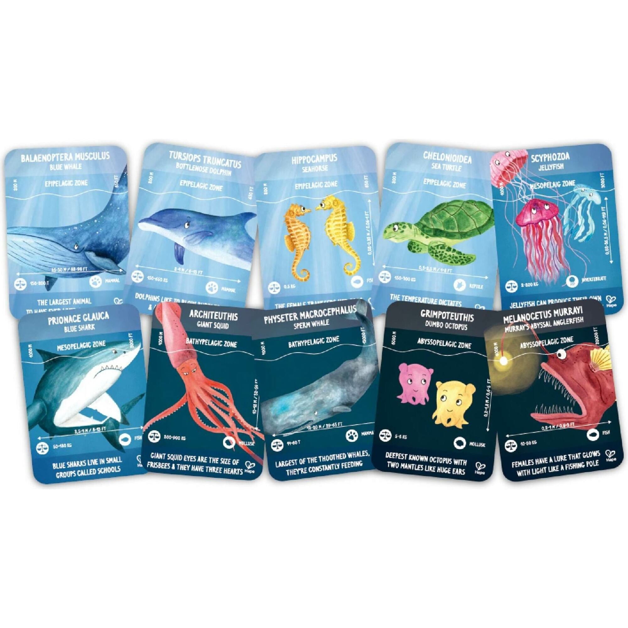 Giant Glow-In-The-Dark Ocean Life Jigsaw Puzzle