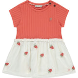Short Sleeve Dress with Tulle Skirt