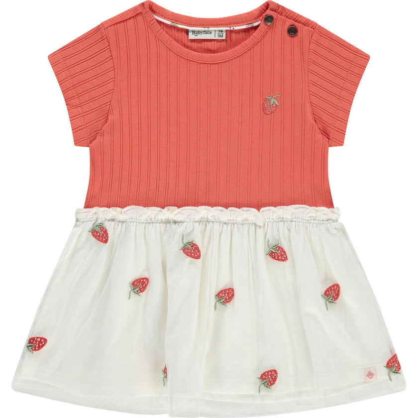 Short Sleeve Dress with Tulle Skirt