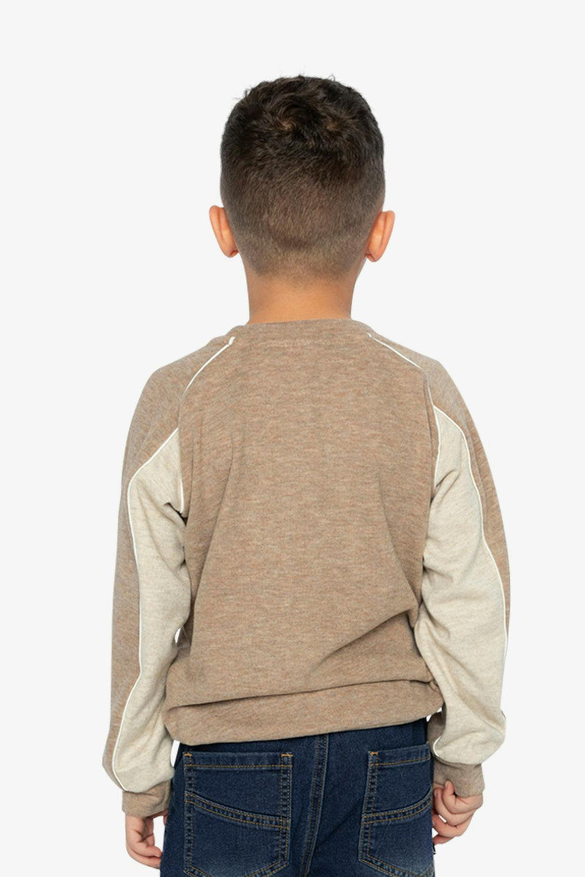 Brushed Jersey Top With Raglan Sleeves Taupe