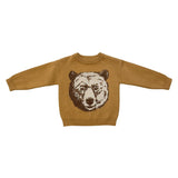Boys Knit Sweater in Pixelated Bear