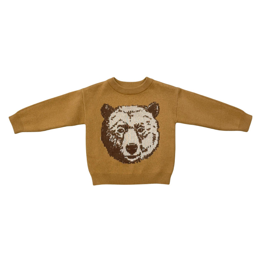 Boys Knit Sweater in Pixelated Bear