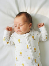 Babygrow Romper - Hot Air Balloon
