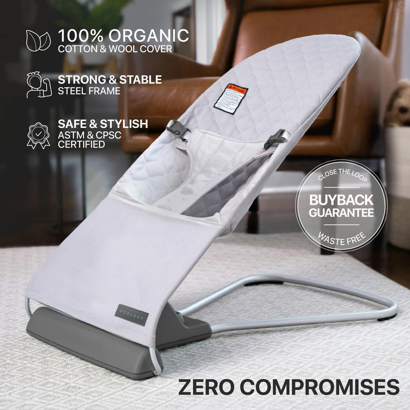 Evrloop Bouncer Chair