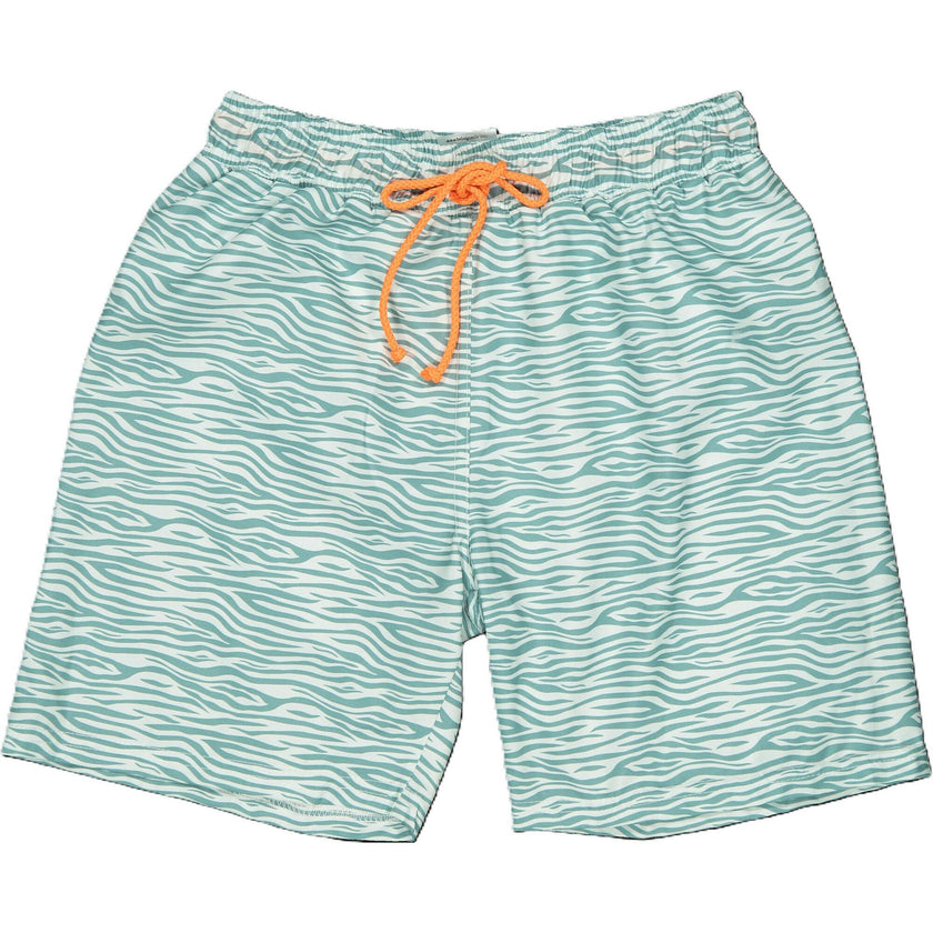 Stripes Classic Swim Shorts, Prints