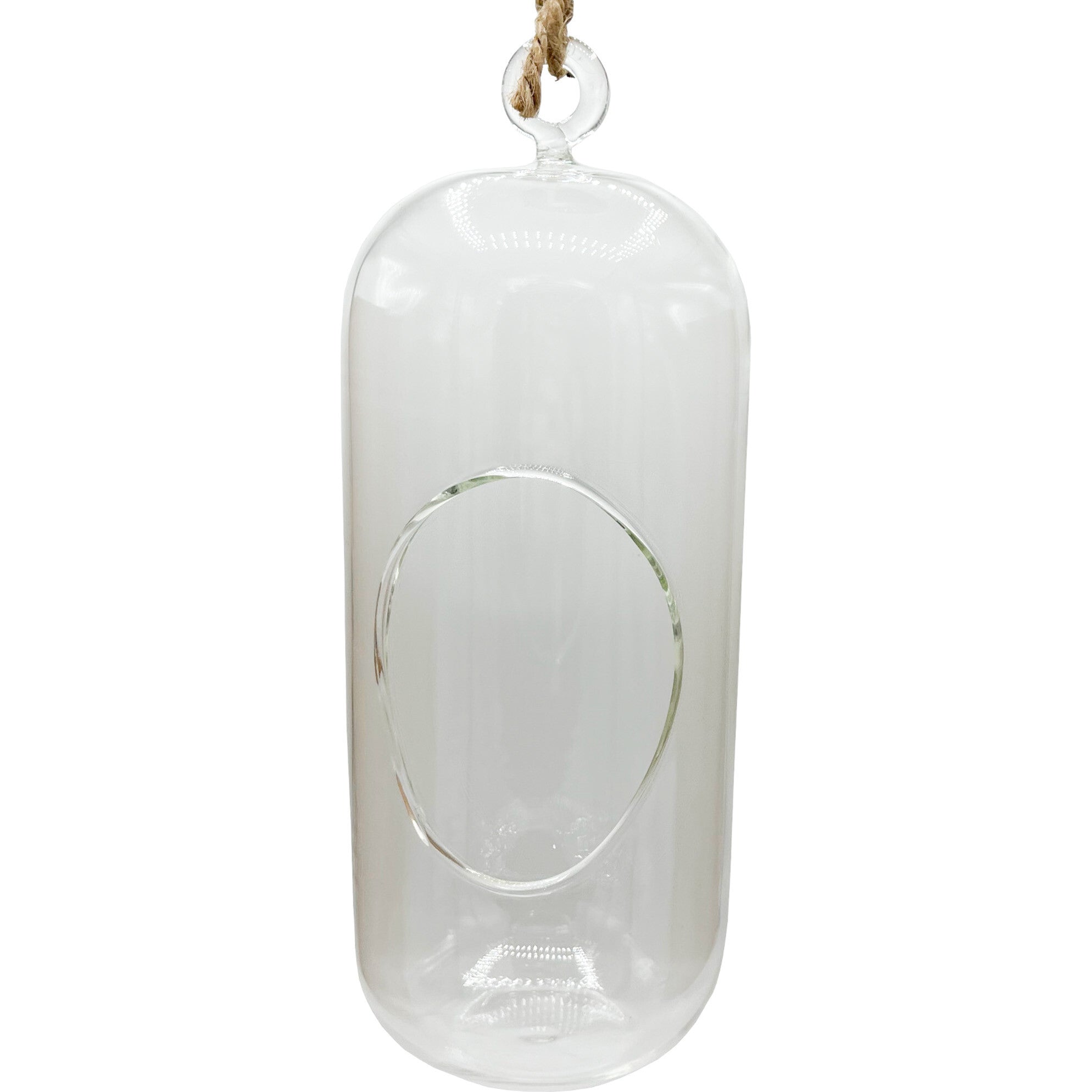 Glass Terrarium: Carefree Capsule