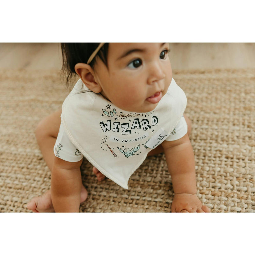 Wizarding World Bandana Bibs