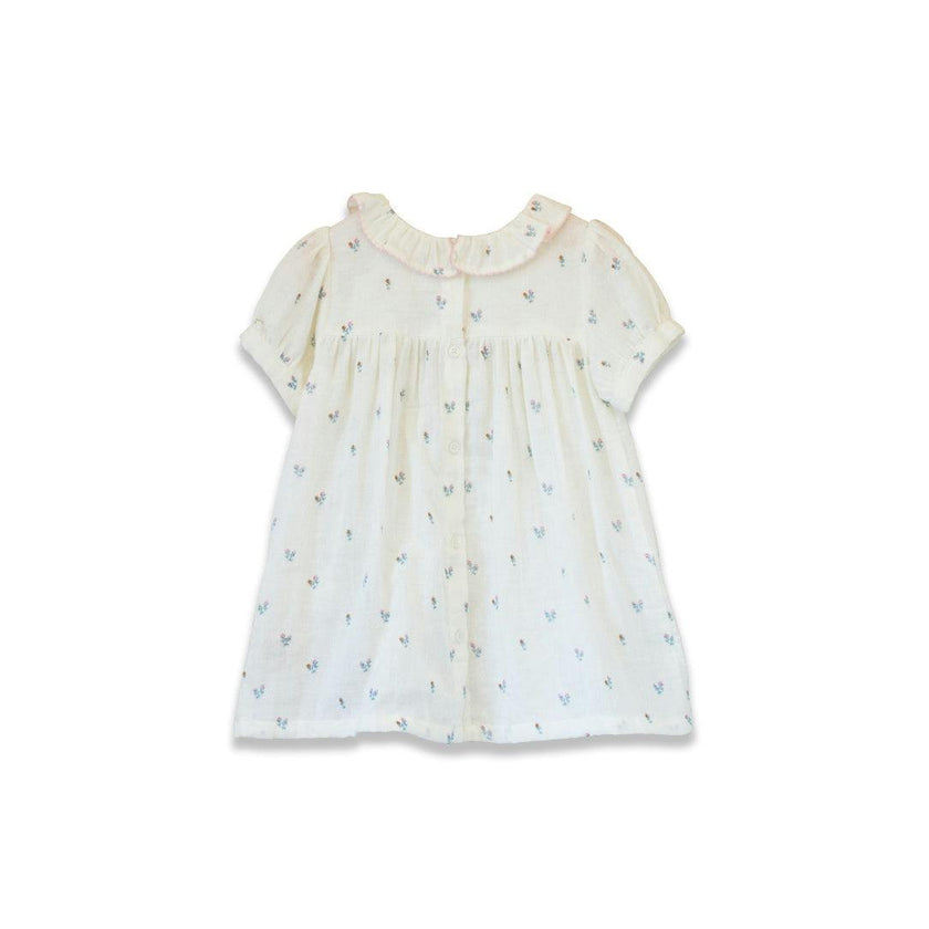Toddler Emily dress with Lace trim | Petit Floret