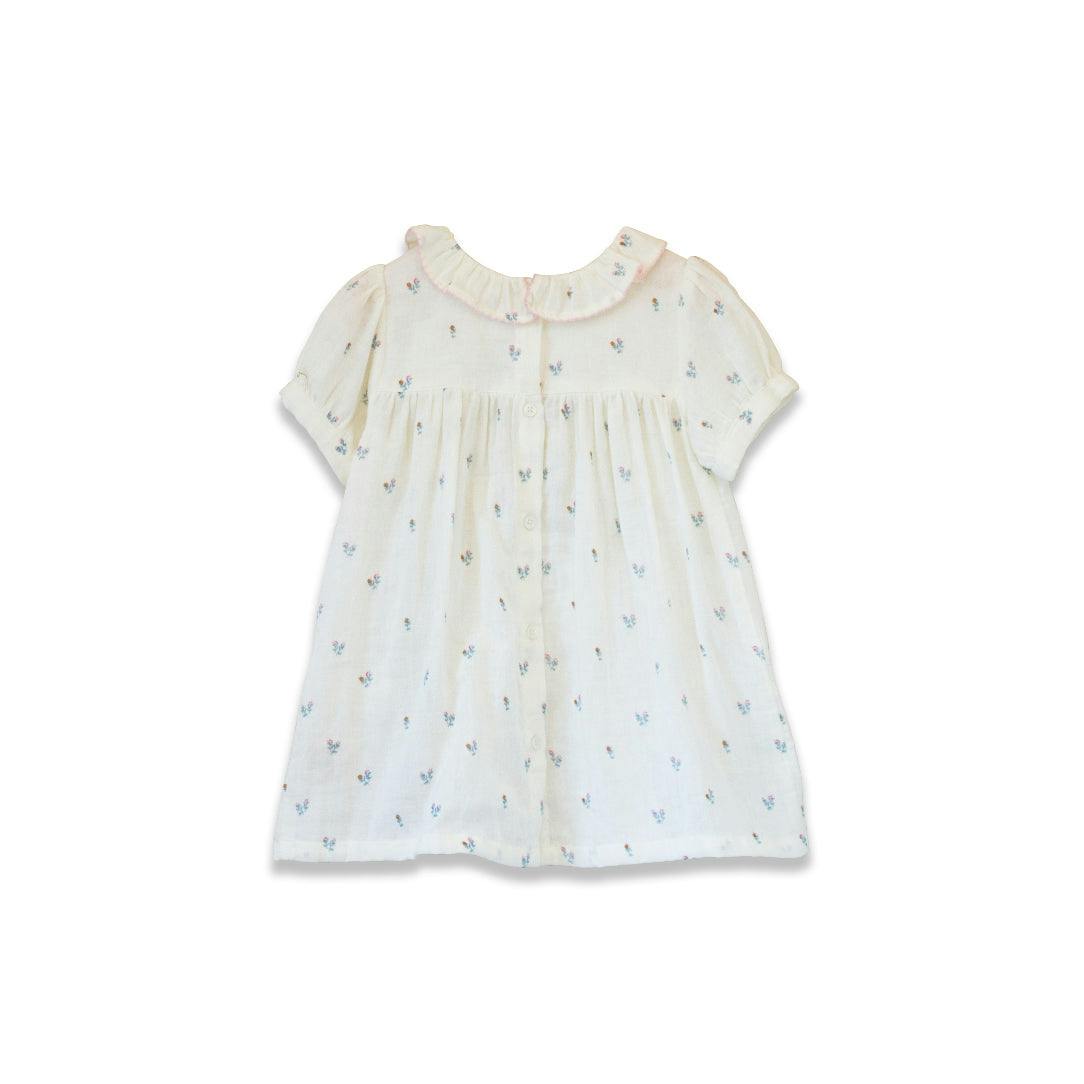 Toddler Emily dress with Lace trim | Petit Floret