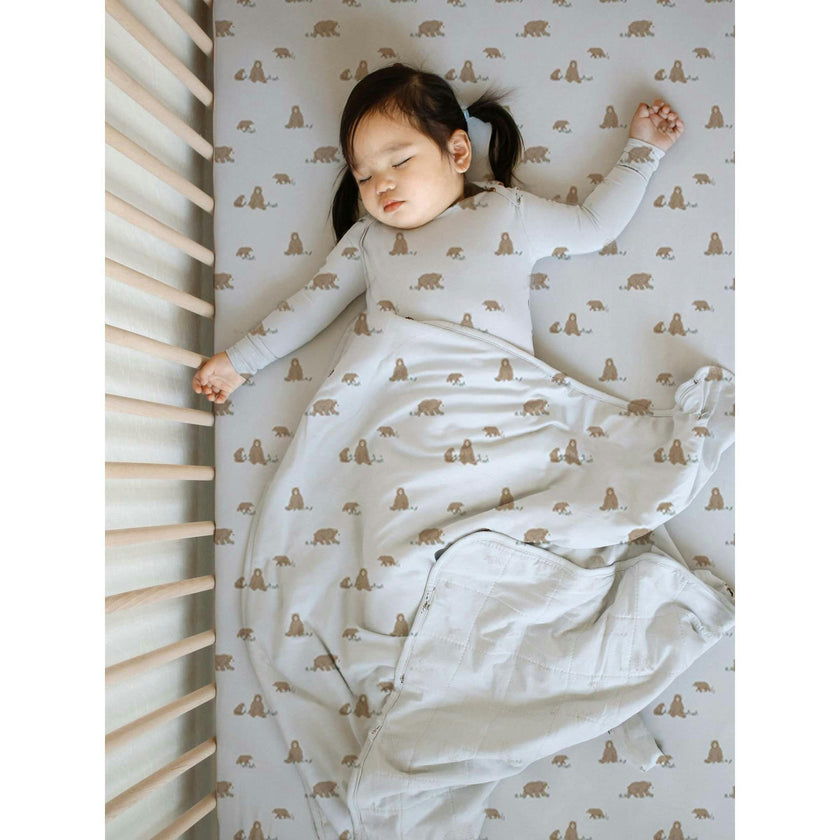Cozy Cloud Comforter Baby Blanket