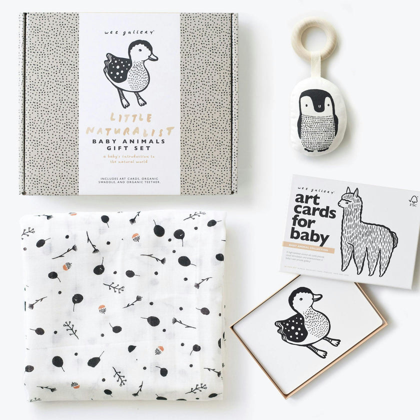 Gift Set Baby Animal s