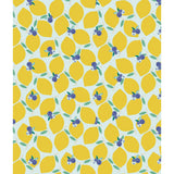 Lemonberry swimsuit