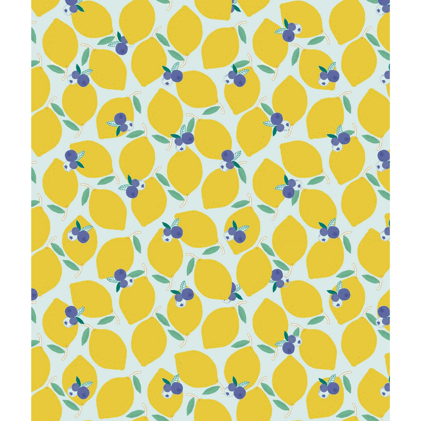 Lemonberry swimsuit