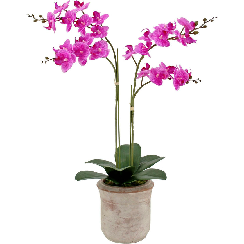 Artificial 2-Stem Phalaenopsis Pink Orchid