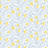 Lemons Pima Cotton Baby One-Piece Pajamas