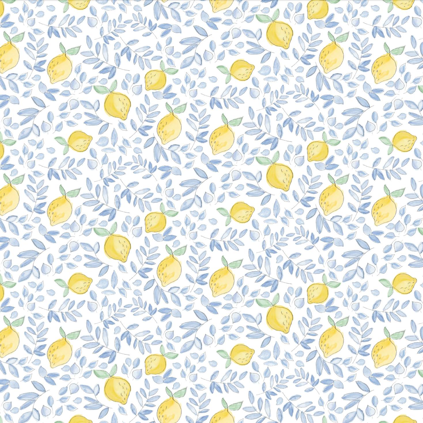 Lemons Pima Cotton Baby One-Piece Pajamas