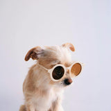 Sunny May Sunnies