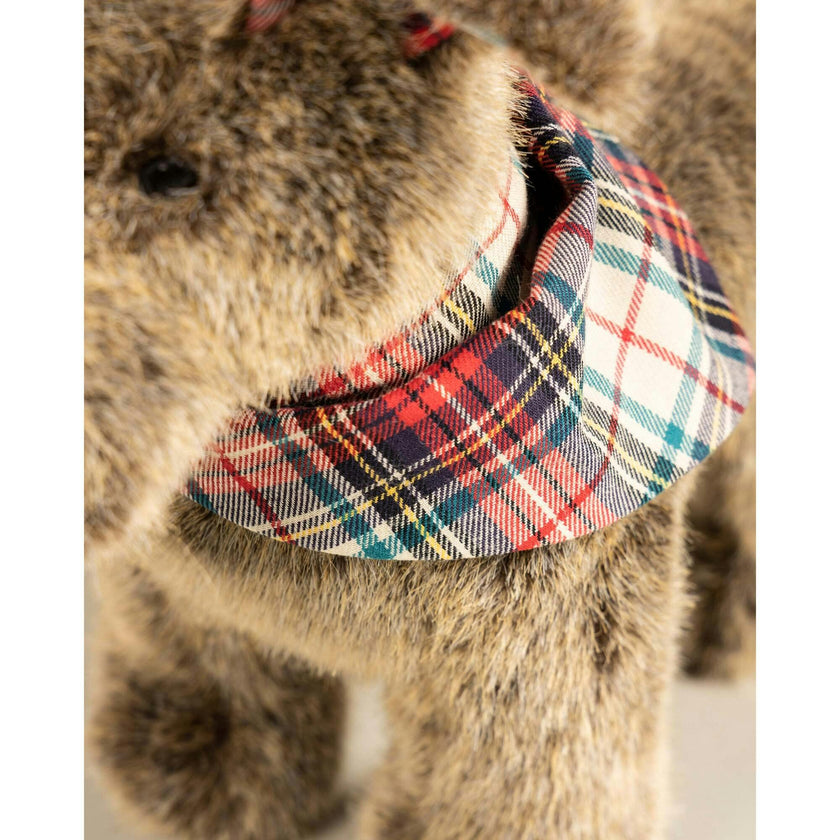 Oscar The Scarf