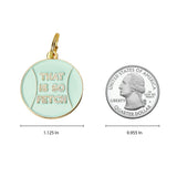 That's So Fetch Pet ID Tag