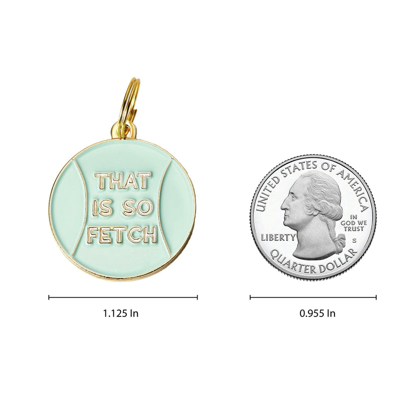 That's So Fetch Pet ID Tag