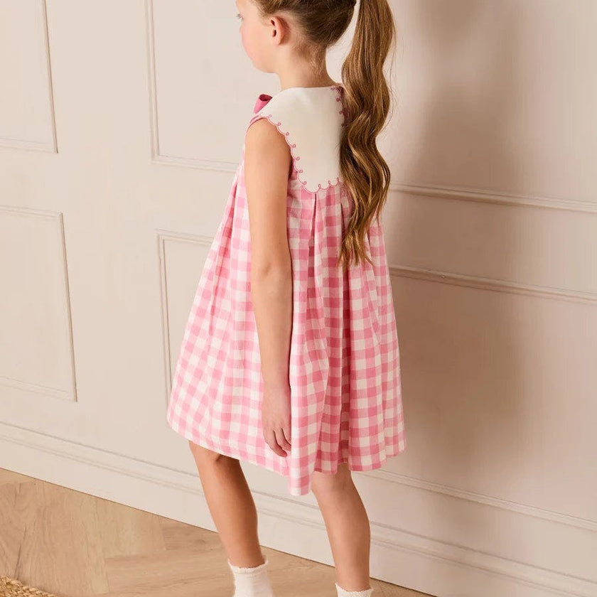 Catherine Gingham Embroidered Sleeveless Trapeze Dress in Pink (12mths- 10yrs)