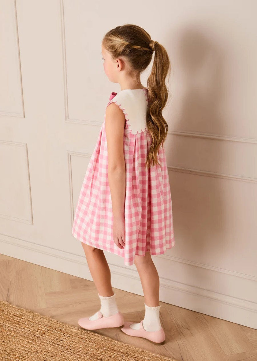 Catherine Gingham Embroidered Sleeveless Trapeze Dress in Pink (12mths- 10yrs)