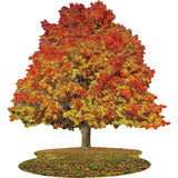 I Am Sugar Maple- Tree Sd Jigsaw Puzzle
