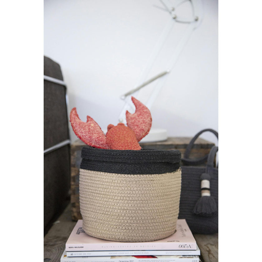 Dual Basket