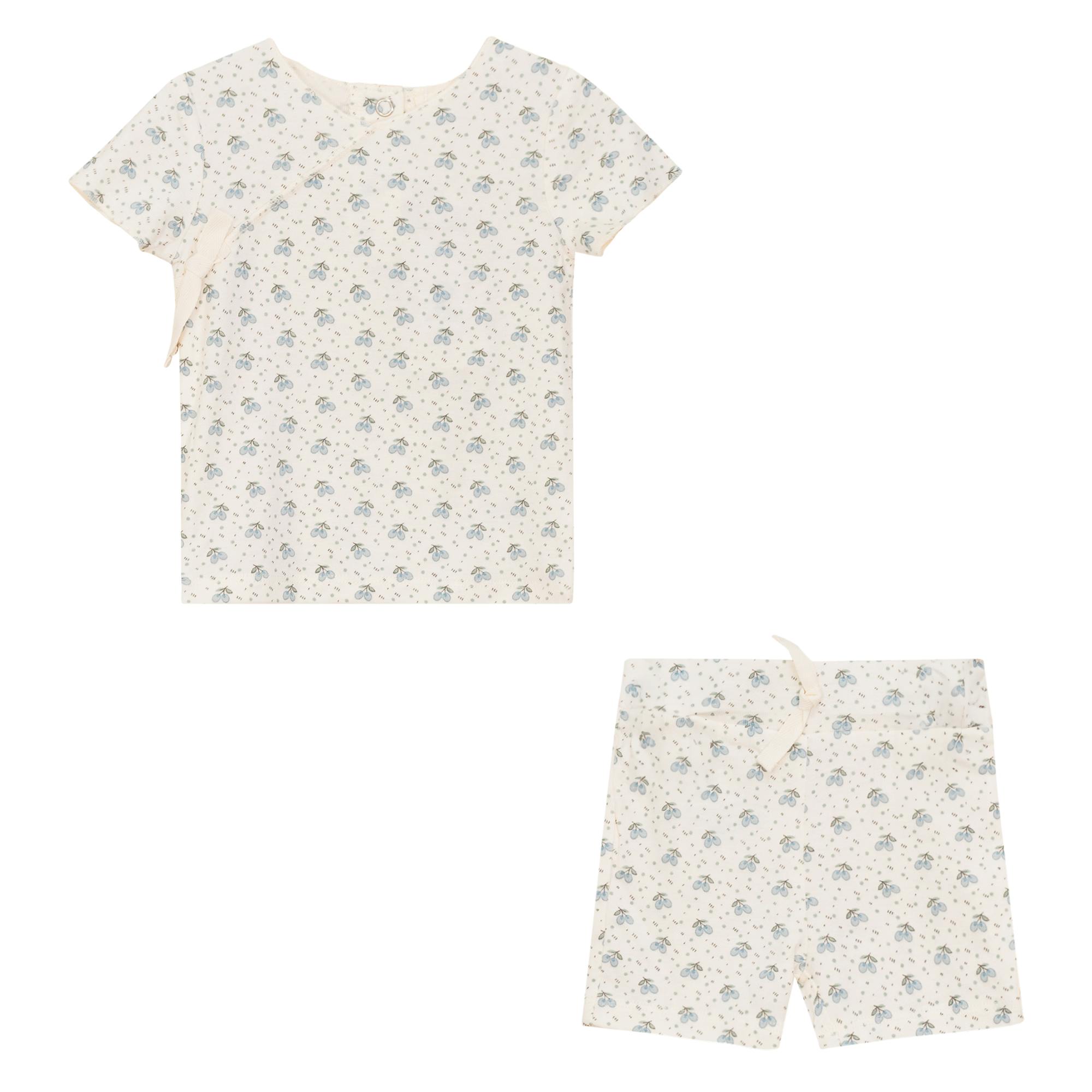 Fruit Print Ribbed Wrap Top and Shorts Two Piece Set