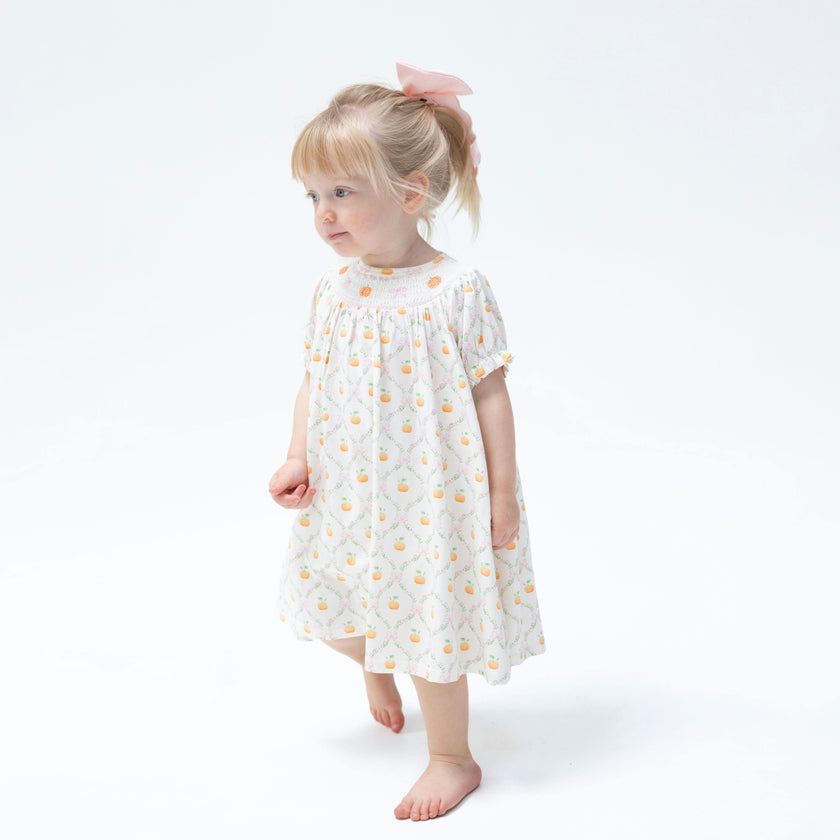 Pretty Pumpkin Trellis - Jane Puff Sleeve Bishop Dress and Bloomer