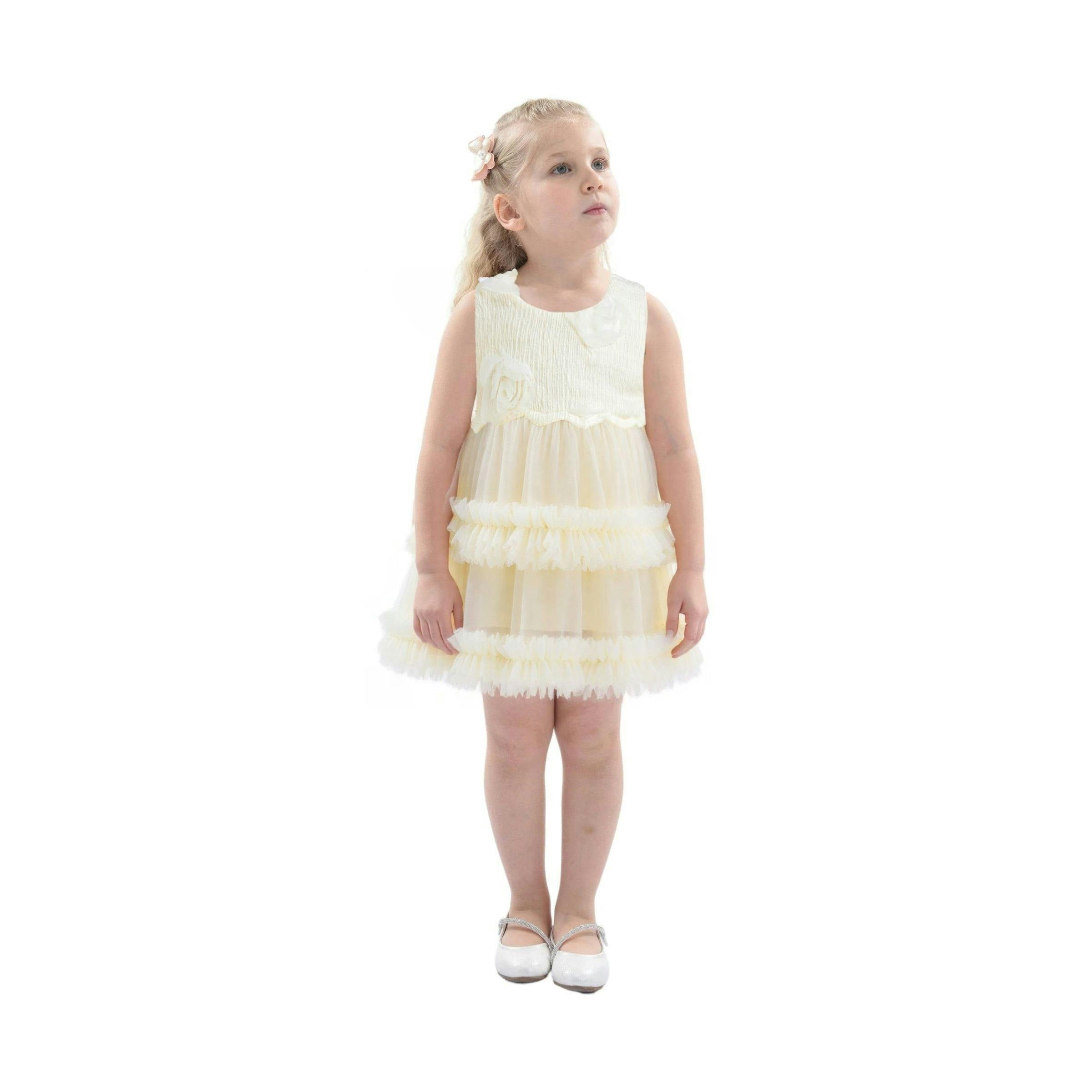 Ivory Flower Layered Tulle Dress