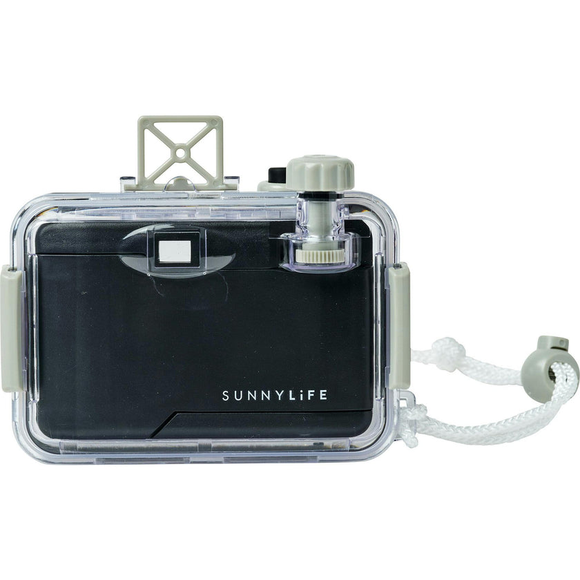 Underwater Camera: Seagrass