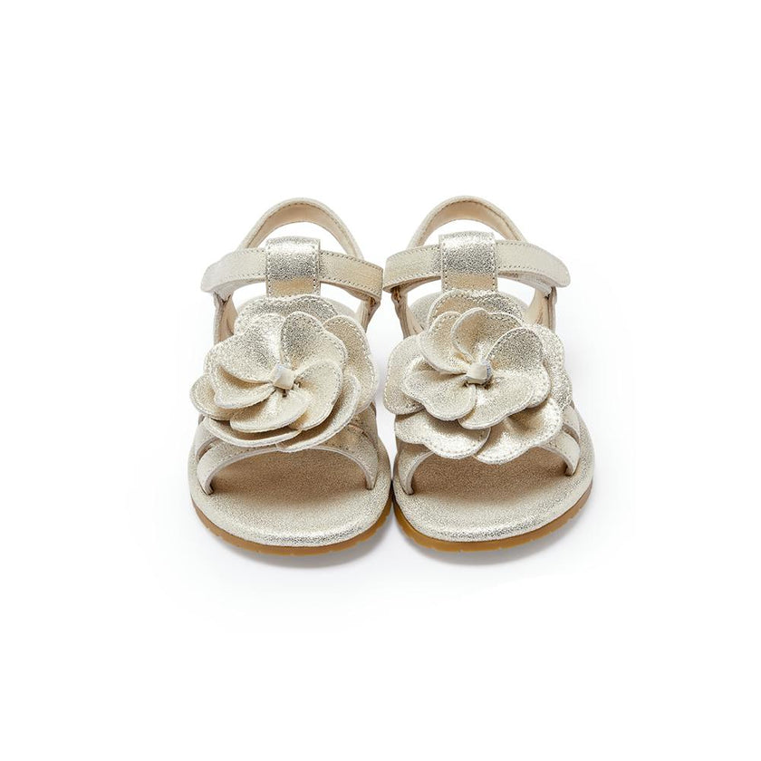 Jiles Fields Sandals | Shimmer Buttercup | Silver Metallic Leather