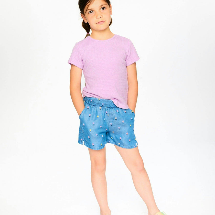 Chambray Shorts