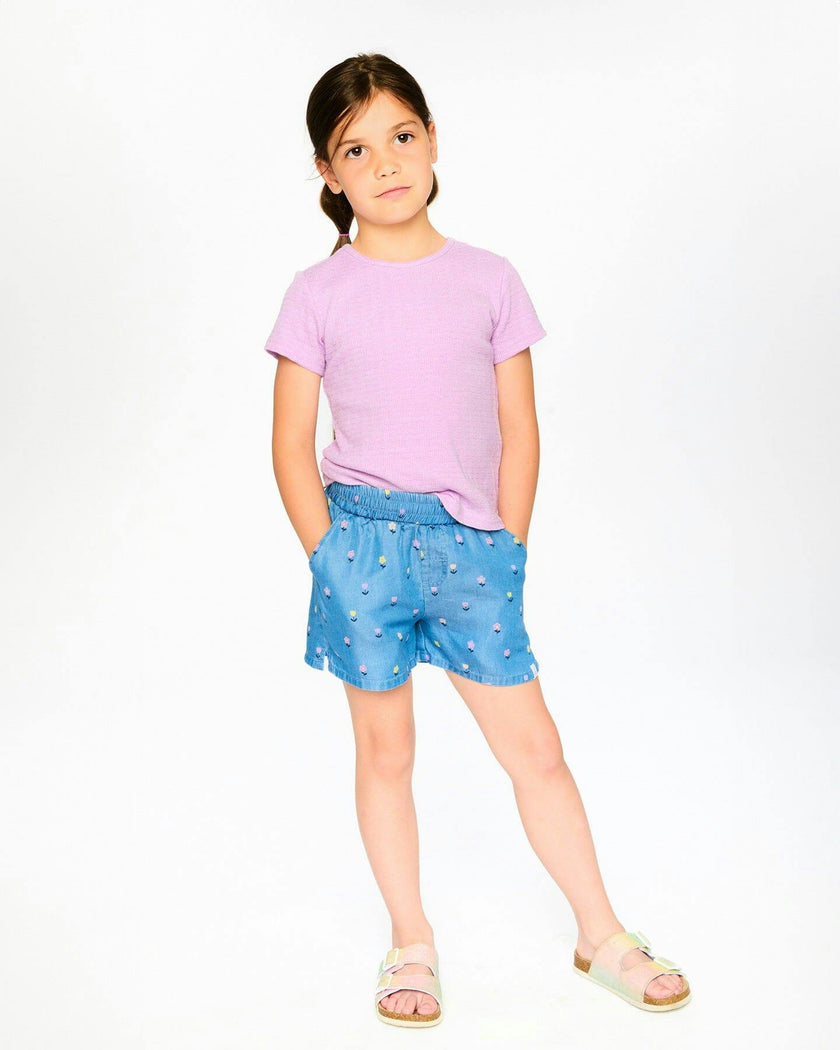 Chambray Shorts