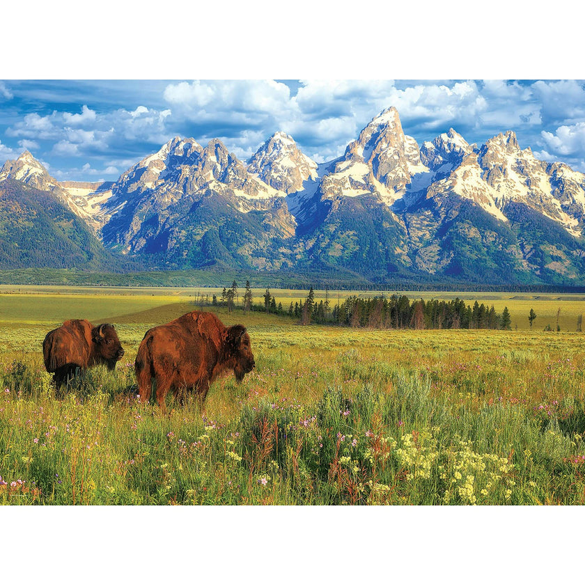 Grand Teton National Park - 1000 pc Puzzle