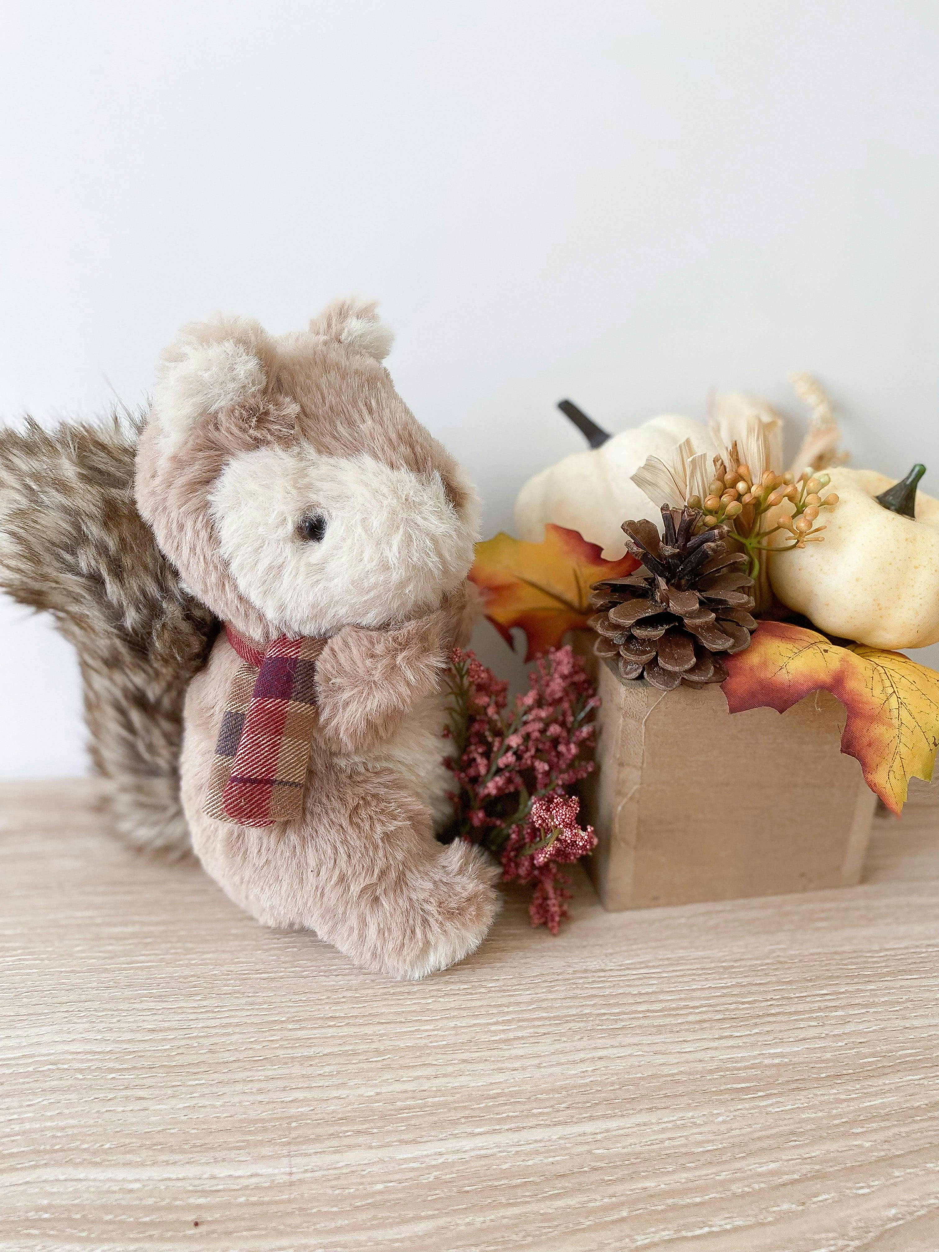 Chippy the Squirrel