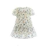 Blue Vienna Floral Dress