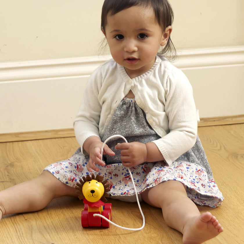 Orange Tree Toys: Pull Along: - Wooden Toy