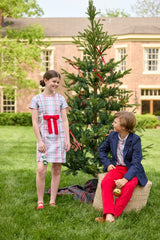 Cora Dress - Douglas Plaid
