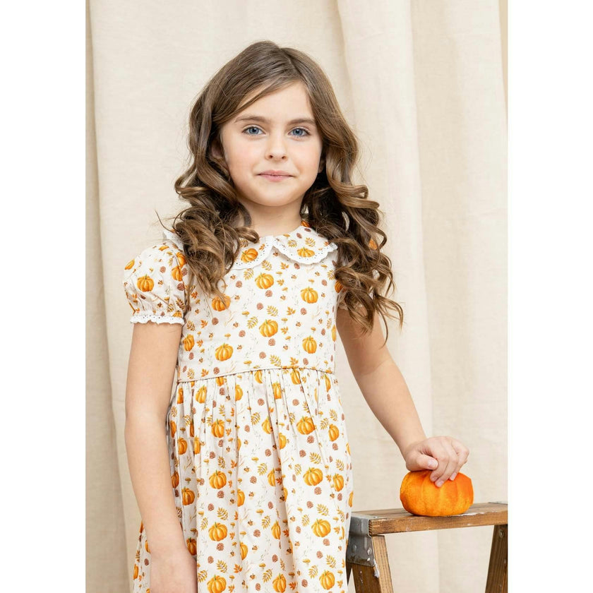 Fall Medley Peter Pan Collar Dress