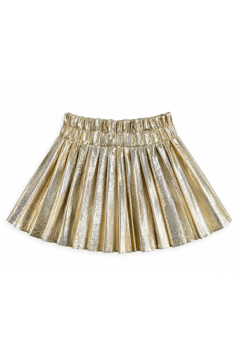 Foil Pleated Skirt