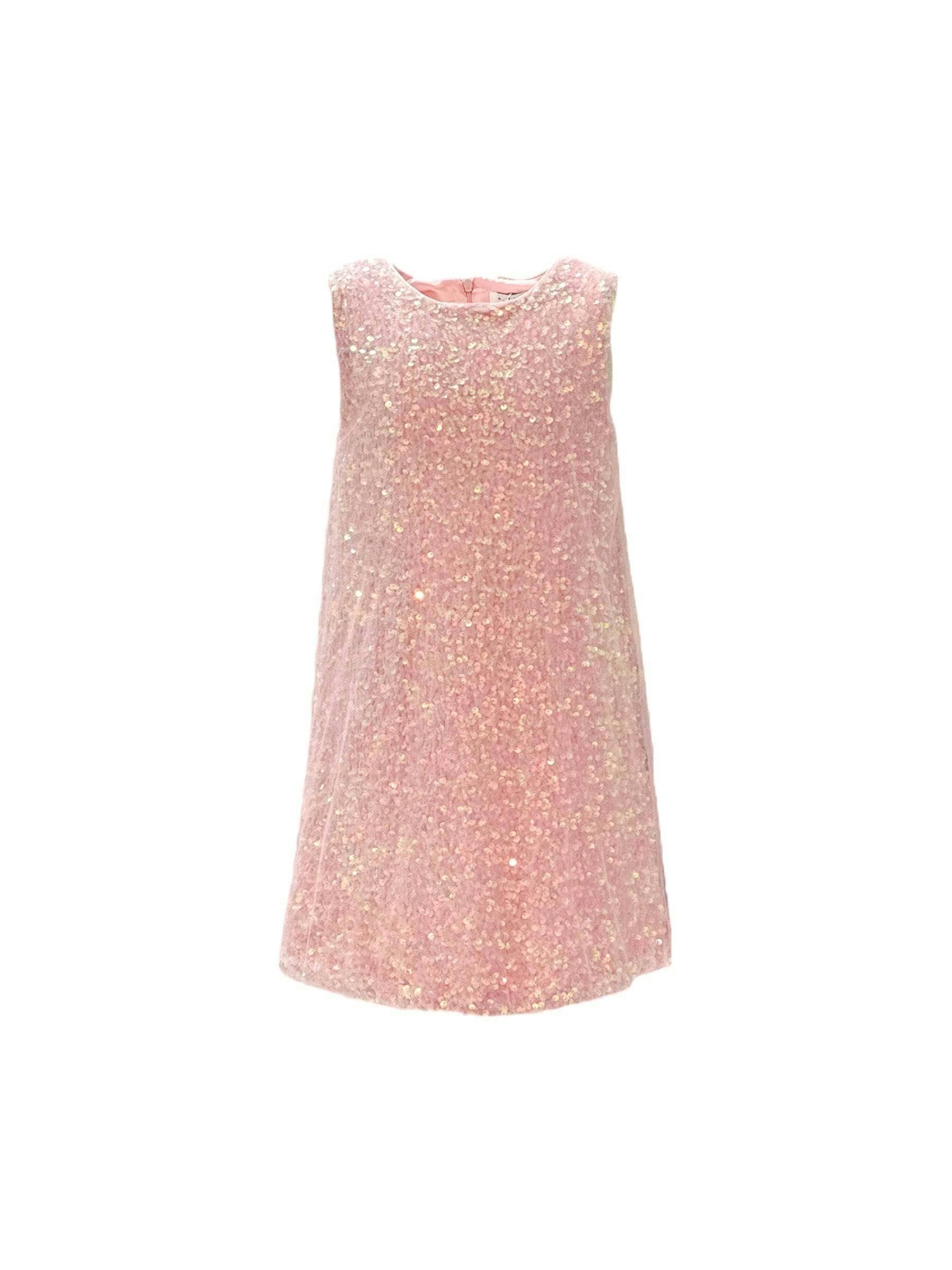 Shimmer & Sequin Sleeveless Dress