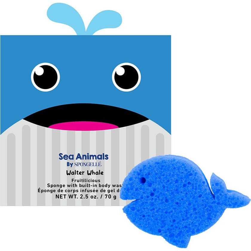 Sea Animals