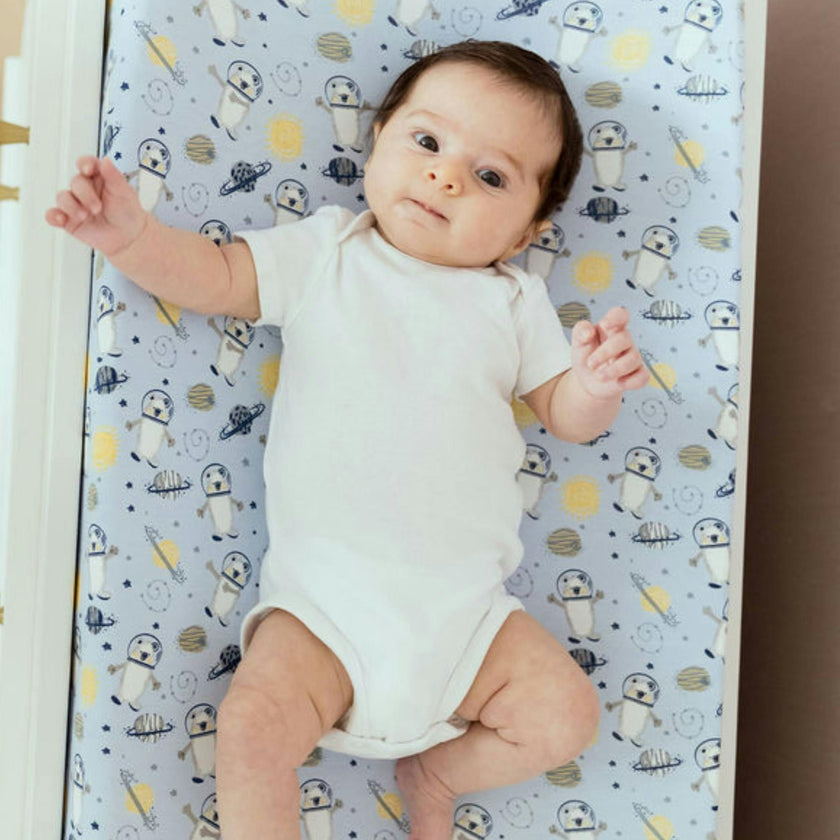 Print Organic Changing Pad Cover