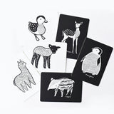 Baby Animals