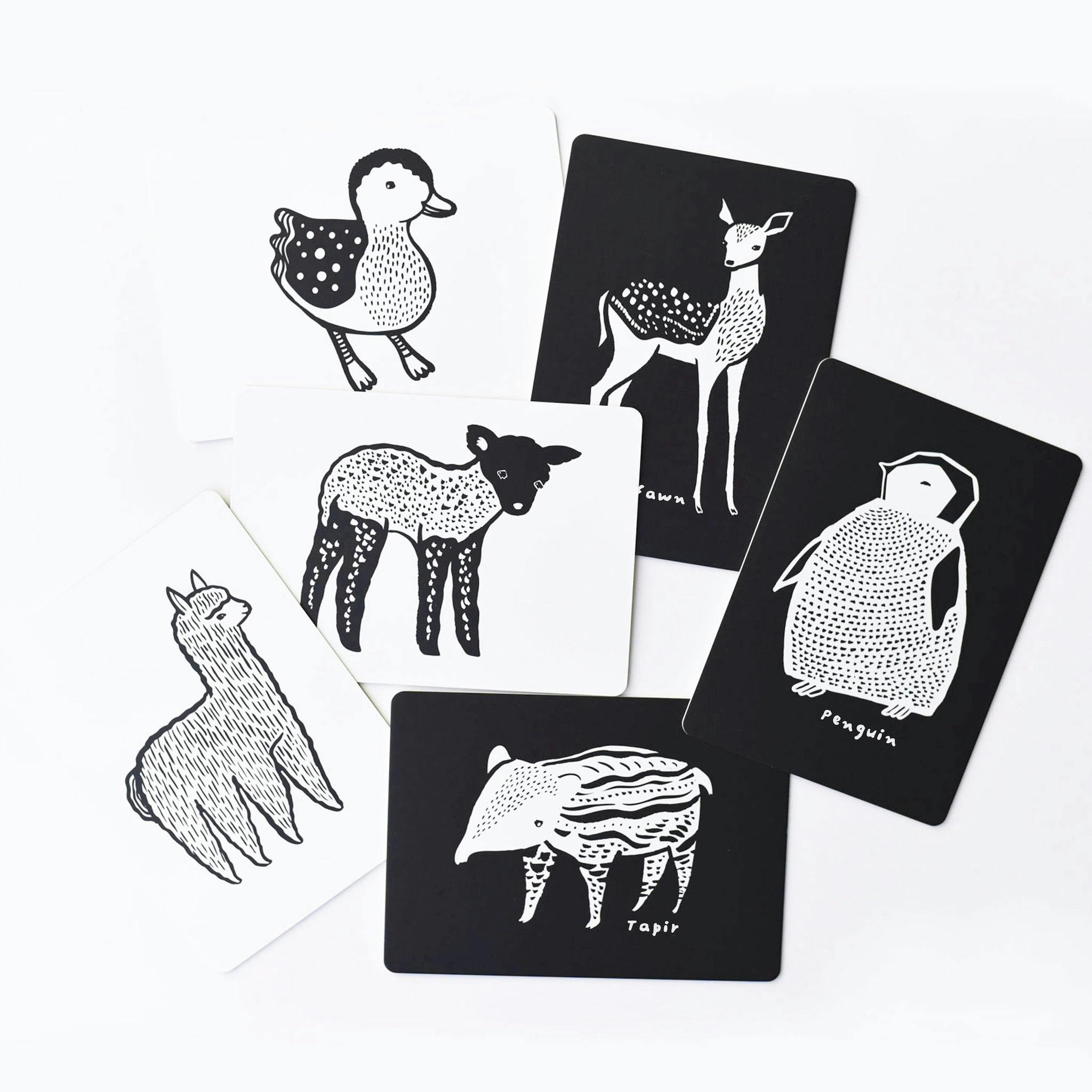 Baby Animals