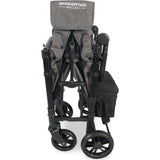 Elite Double Wagon Style Stroller